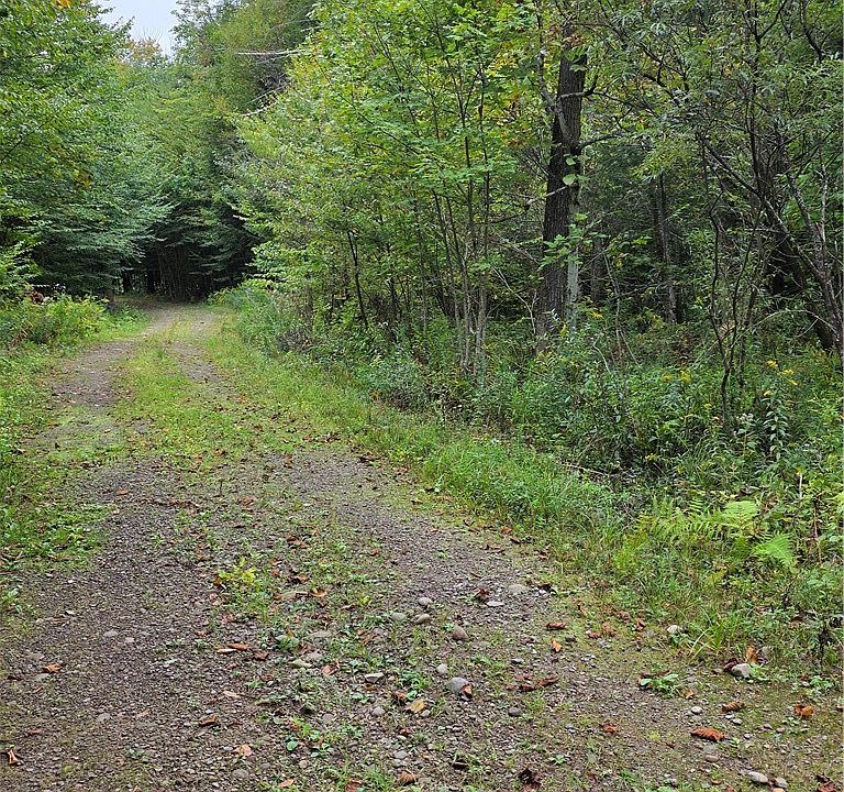 1st image of Woodland Dr