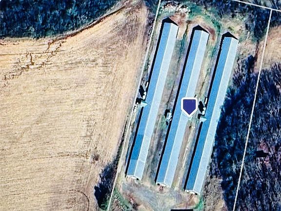 2nd image of 245 Ivy Rd