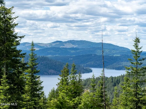 LOT 2 Riddle Rd, Harrison, ID 83833