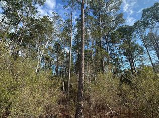 5033 Douglas Ferry Rd, Caryville, FL 32427