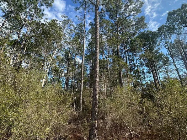 5033 Douglas Ferry Rd, Caryville, FL 32427