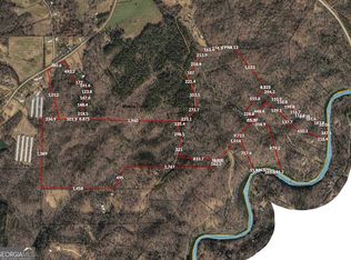 0 Webster Lake Rd, Cleveland, GA 30528