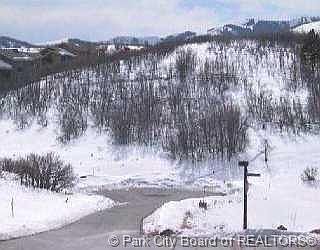1st image of 145 Hidden Oaks Cv #54