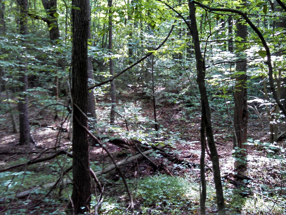 Stone Creek Rd, Woolwine, VA 24185 Zillow