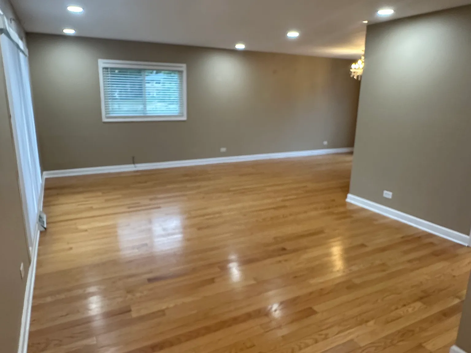 3 bed, 1273 sqft, $3,900 — Photo 3