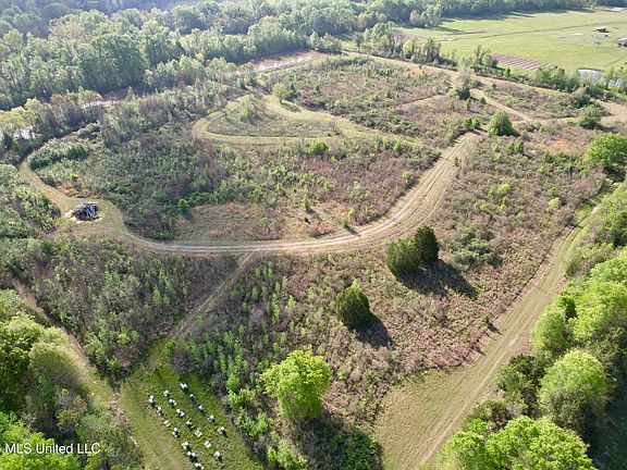 3rd image of 364 Yandell Rd