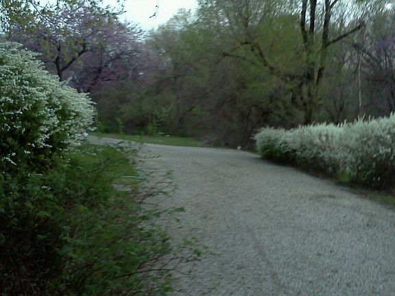 Parkway driveway to Garage