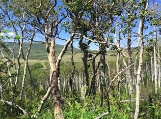 000 Boulder Dr Lot 413 And 414, Craig, CO 81625