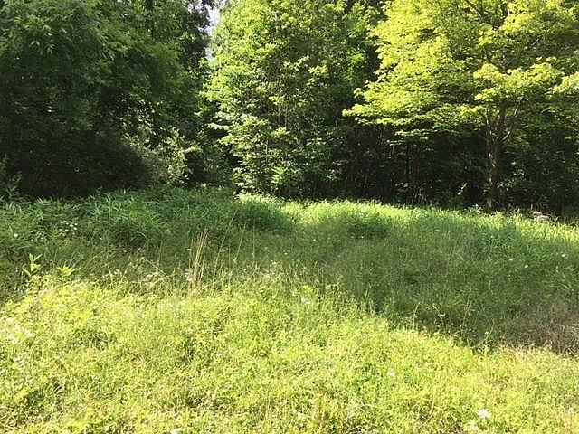 2nd image of 221 Windy Rd