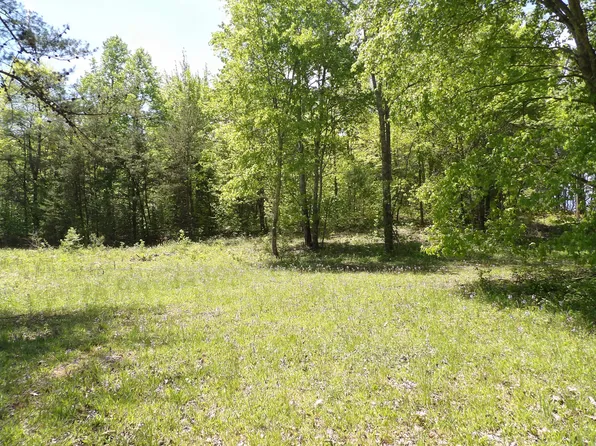 62 Manning Rd, Grandview, TN 37337