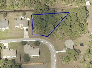 401 Tin Ave SW, Palm Bay, FL 32908
