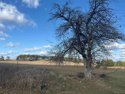 3175 Road, Carney, MI, 49812