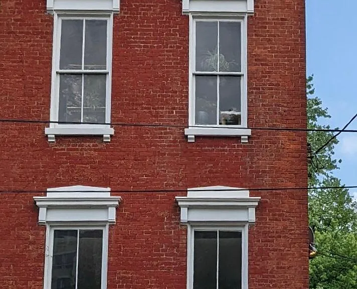 113 W 5th St — Photo 21