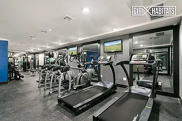 Rented by Citi Habitats