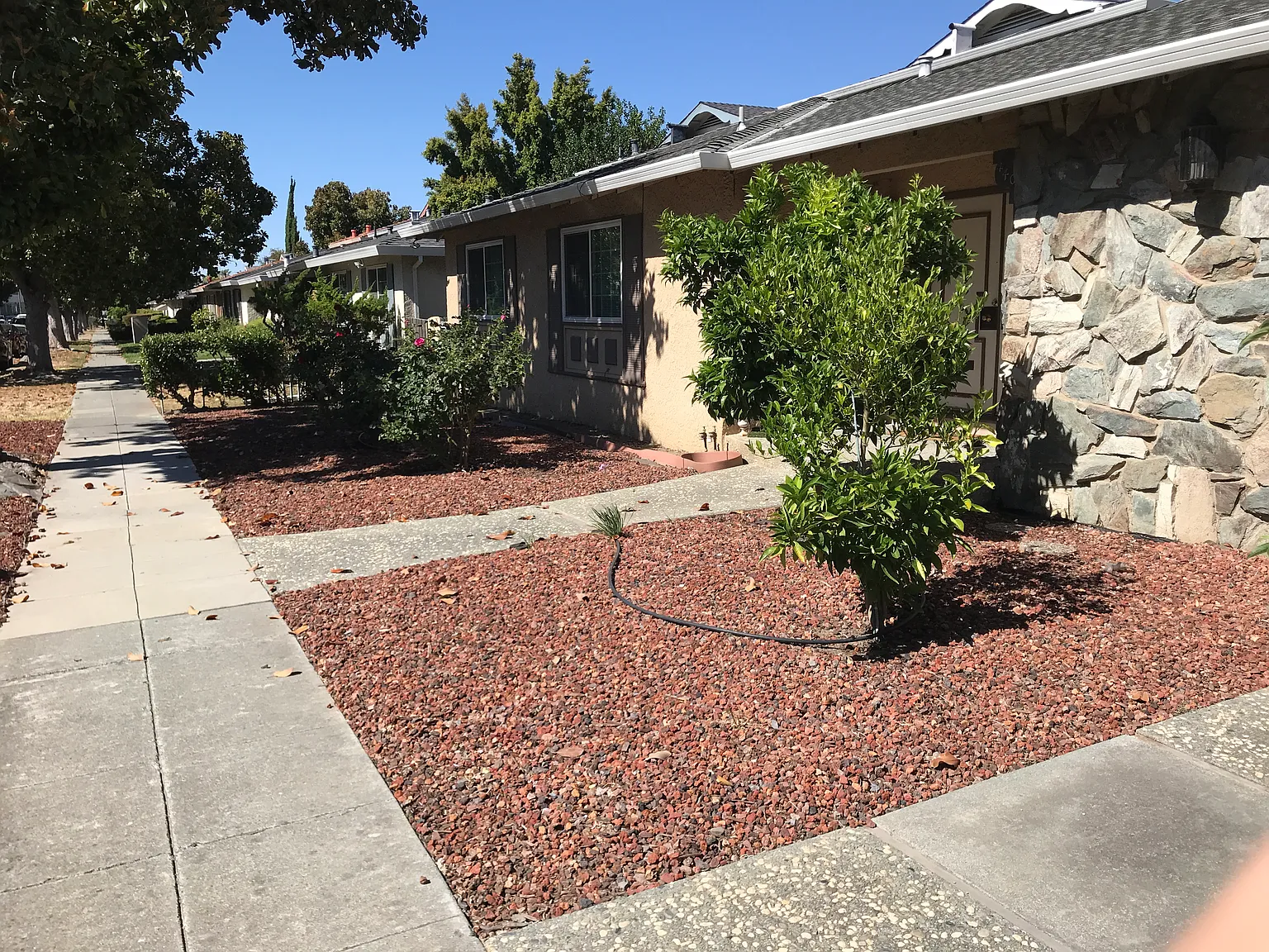 3 bed, 1301 sqft, $3,700 — Photo 1