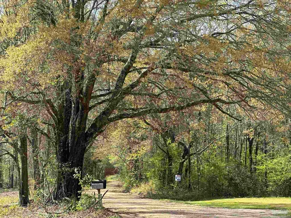 PARCEL Lett Rd #G, Frisco City, AL 36445