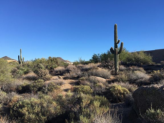 2nd image of 10552 E CINDER CONE Trail #88