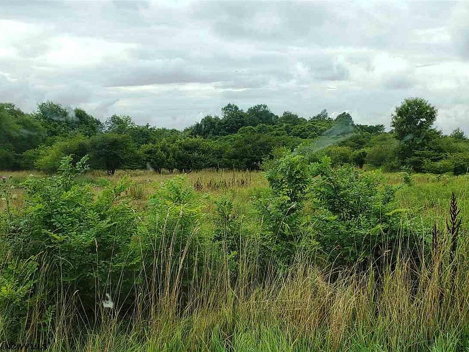 41 Thunderstruck Rd, Harman, WV 26270 Zillow