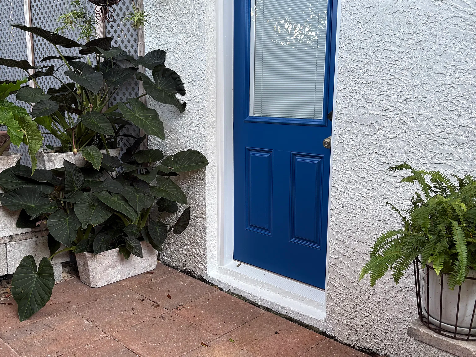 Simcoe St, Palm Harbor — Photo 3