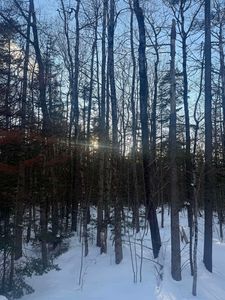 359 Dover Hill Road, West Dover, VT, 05356