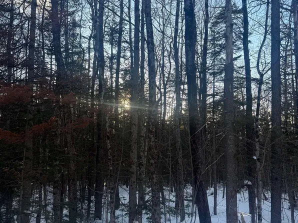 359 Dover Hill Road, Dover, VT 05356