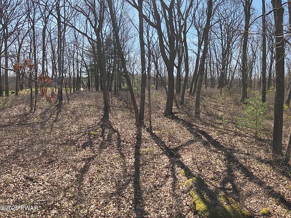 4th image of 127 Wagoner Ln