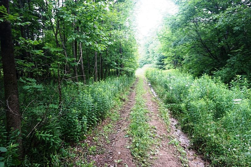 4th image of HAWKINS Road