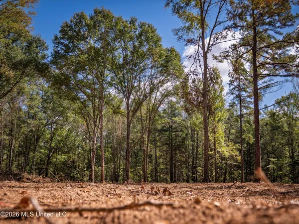 Billy Fields Rd, Edwards, MS 39066