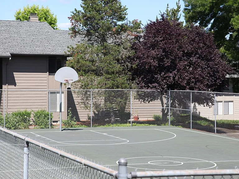 Tennis Court and Basket Ball Courts
