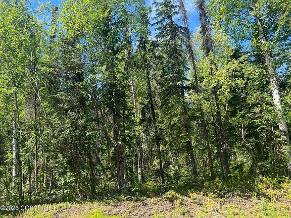 4th image of 13745 E Wilderness Rim Rd