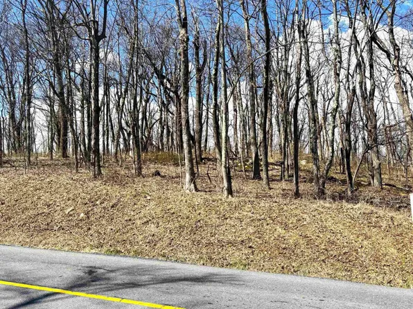 433 Laurel Springs Dr, Roseland, VA 22967