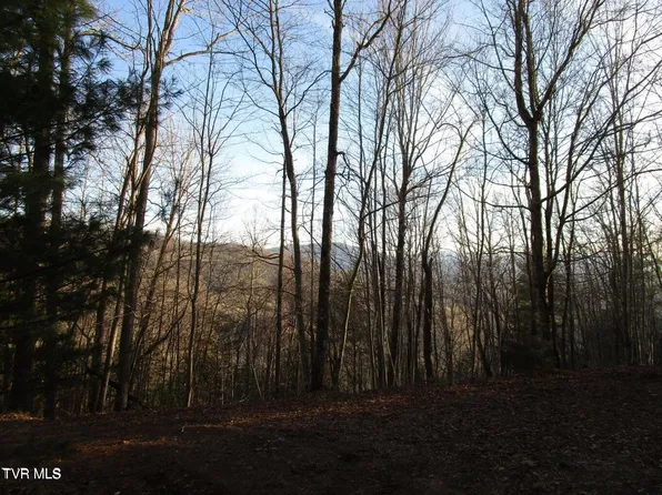 0 Little Dry Run Rd, Butler, TN 37640