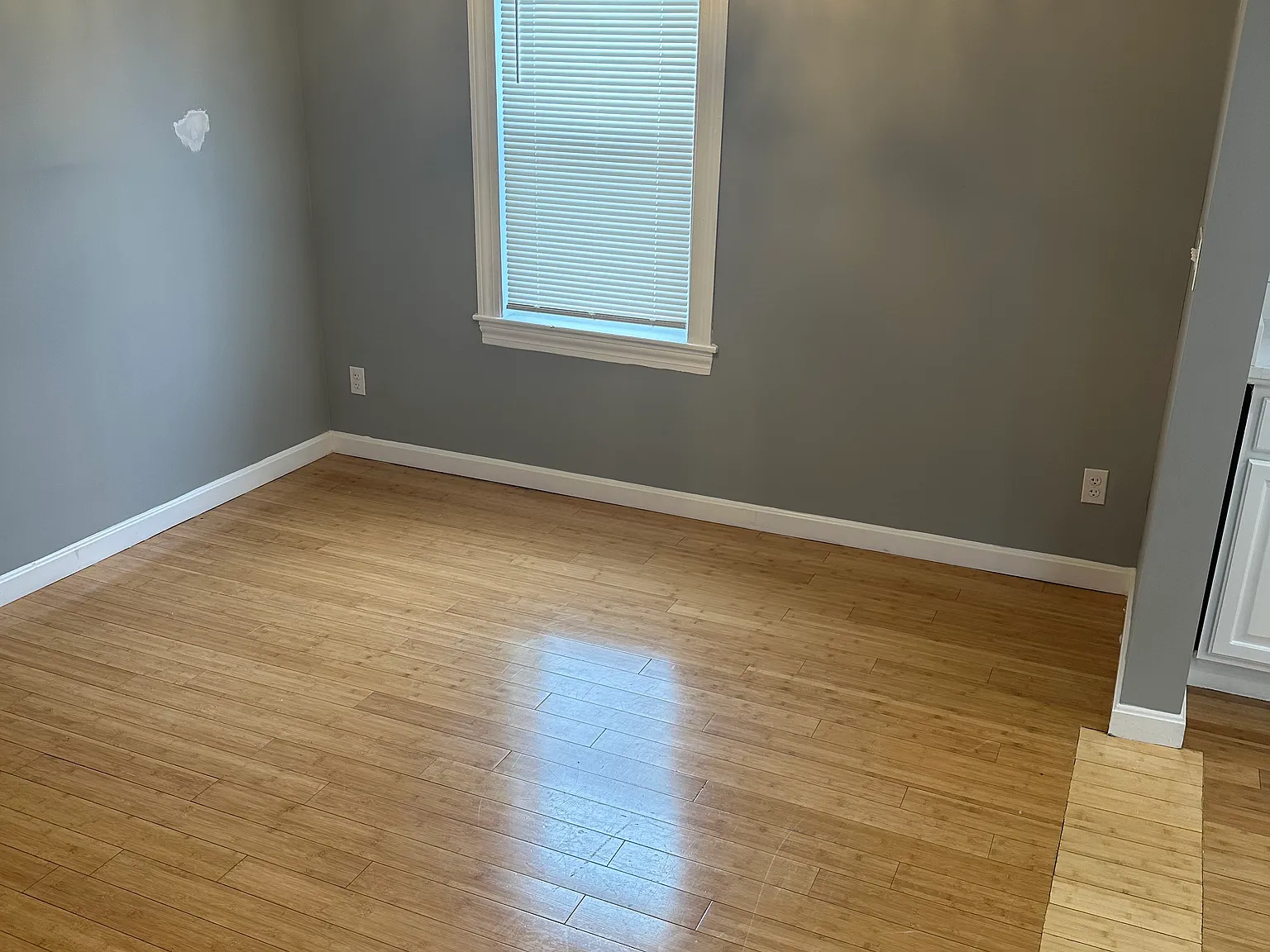 3 bed, 1.5 bath, 1355 sqft, $3,000 — Photo 4