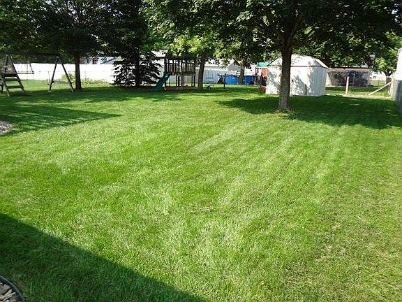 back yard
