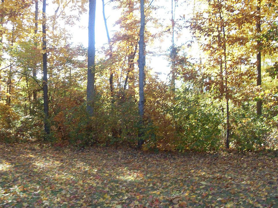 Beautiful Fall Seasonal View of the Backyard