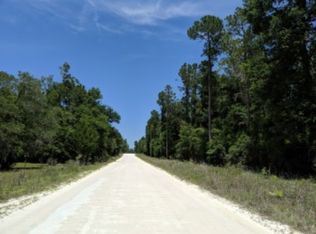 113TH Drive, Obrien, FL 32071