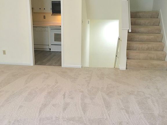 New carpet