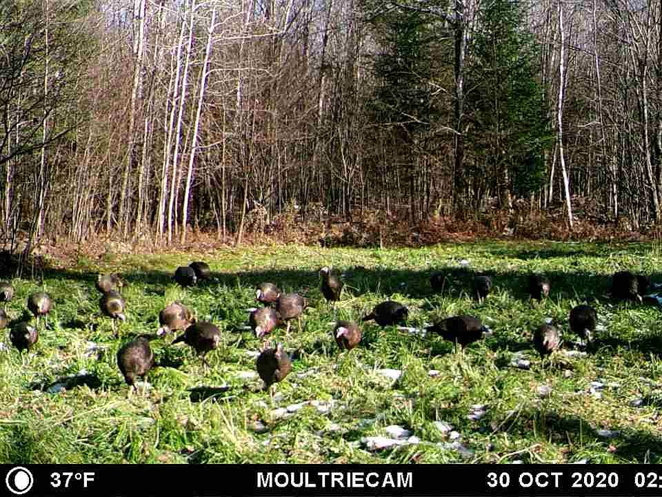 2nd image of 242563 Tobias Rd