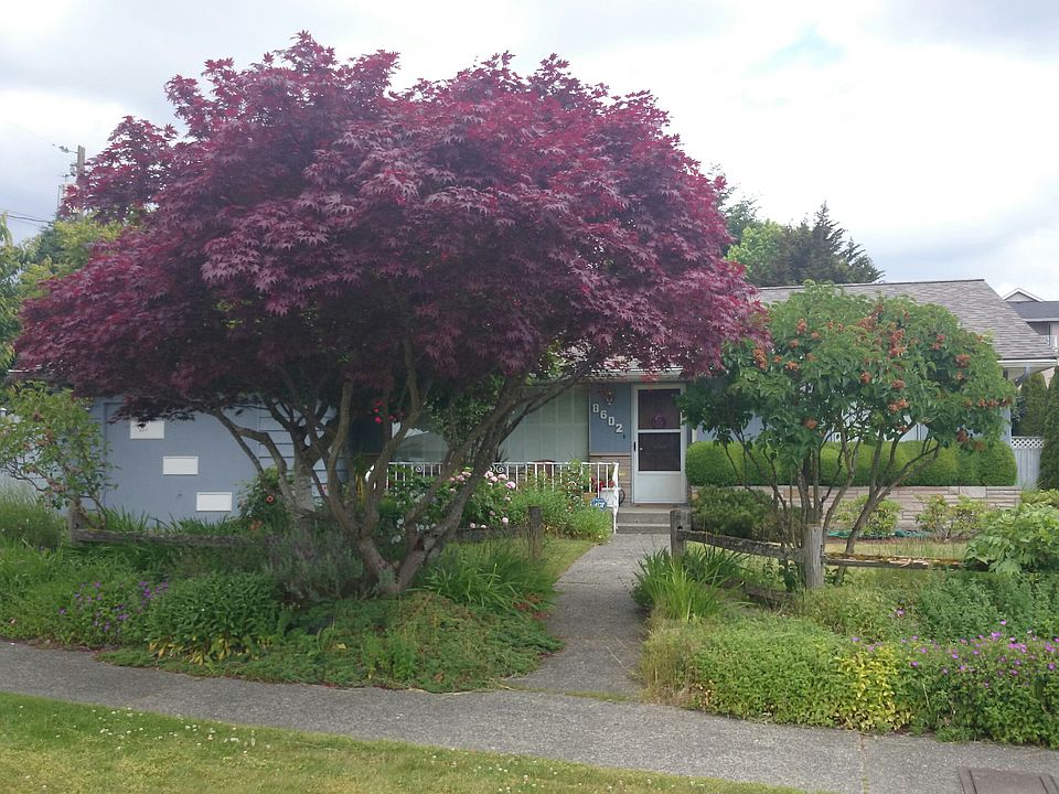 1st image of 8602 21st Ave NW
