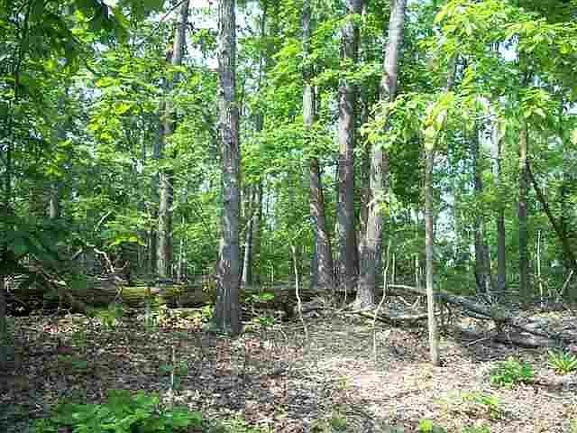 1st image of LOT 80 Champion Hills Rd