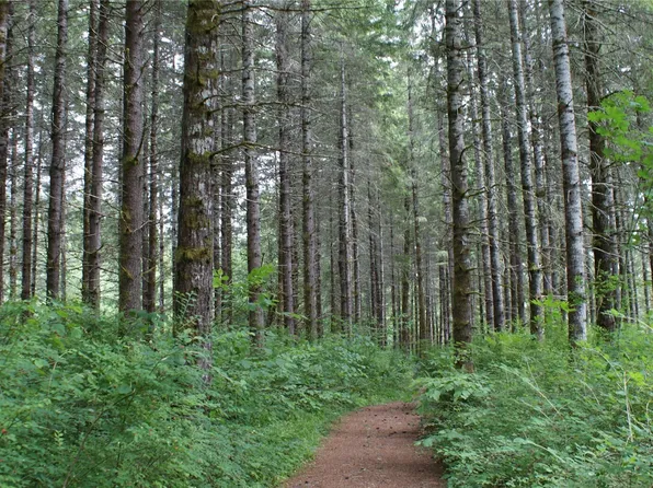 0 Lincoln Creek Road, Centralia, WA 98531