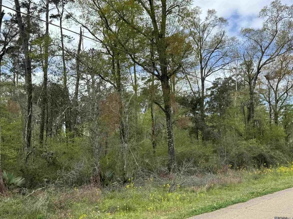 Tbd Vincent Place Ave, Denham Springs, LA 70726