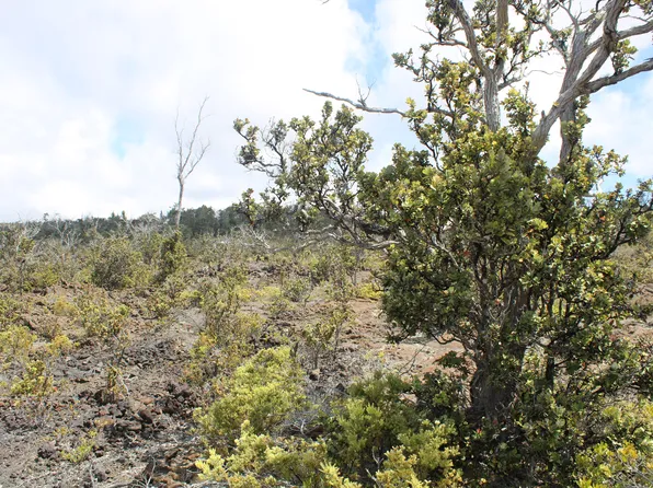 Lot 30, Ocean View, HI 96737