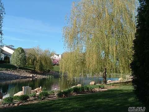 Pond View