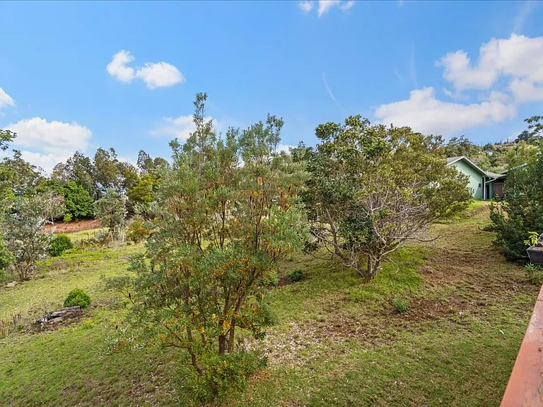 31 Hapapa Rd #B — Photo 40
