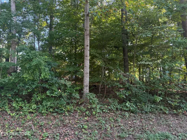204 Kawatuska Ln, Loudon, TN 37774