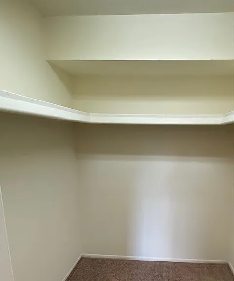 lighted walk-in closet