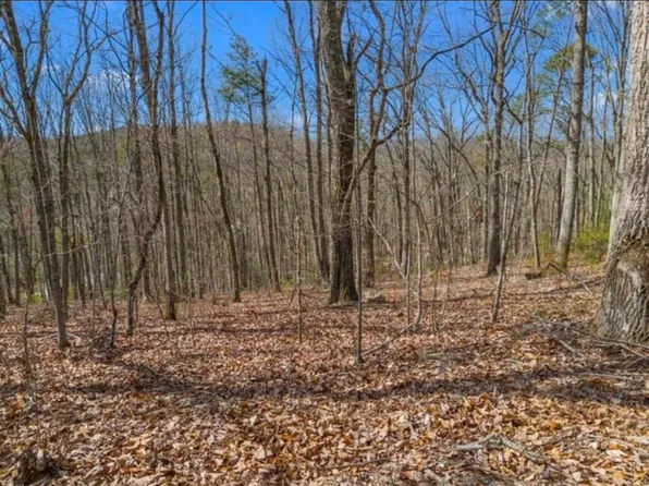 0 Pecan Tree Ln, Newport, TN 37821