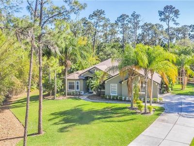 13916 Bramble Bush Ct, Orlando, FL, 32832