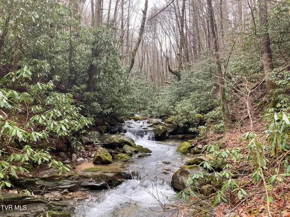 0 Heaton Branch Rd, Butler, TN 37640